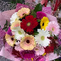 Blossoms of