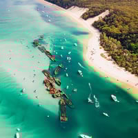 Australian C