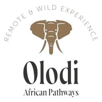 Olodi Africa