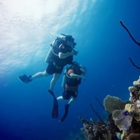 Diving Domin