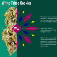 Leafly Dispe