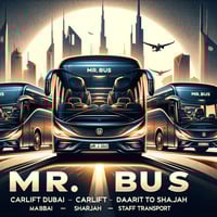 Mr Bus LLC
