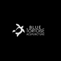 Blue Tortois