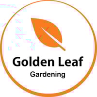 Golden Leaf