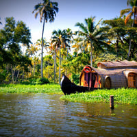 Kochi to All