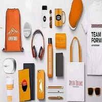 Corporate Gi