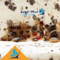 شركة التقـا