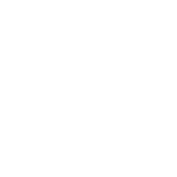 Website Desi