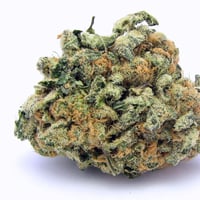 Weed Strains