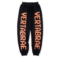 Vertabrae Cl