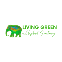Living Green