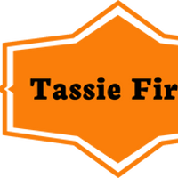 Tassie Fires