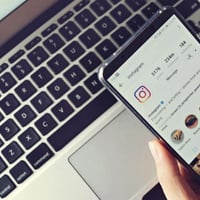 Insta Stalke