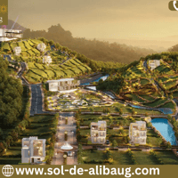 Sol De Aliba