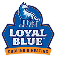 Loyal Blue C