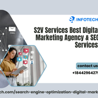 S2V Infotech