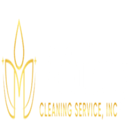 Meticulosity