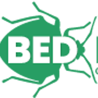 Bed Bugs Con