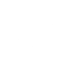 Metro Carpet