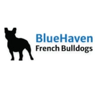 BlueHaven Fr