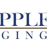 Blue Apple P