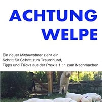 Ein Welpe zi