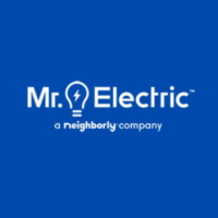 Mr. Electric
