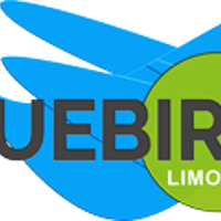 Bluebird Lim