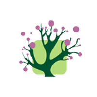 Dr Doris NLP