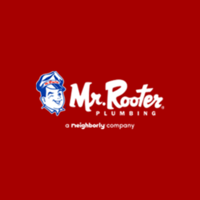 Mr. Rooter P