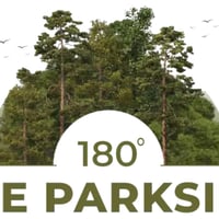 Ace Parkside
