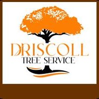 Driscoll Tre
