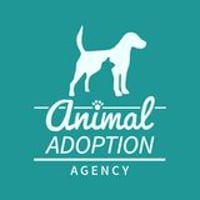 Animal Adopt