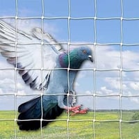 Pigeon Net s