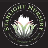 Starlight Nu