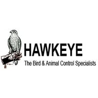 Hawkeye Bird
