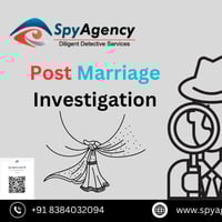 Spy Agency I