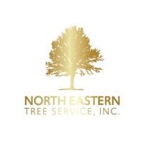 North Easter