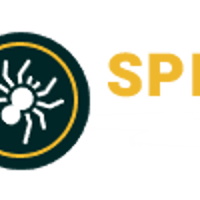 Spider Pest