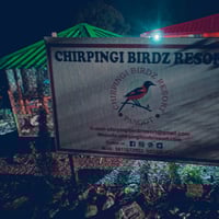 Chirpingi Bi