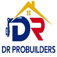 DR Pro Build