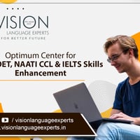 Vision Langu