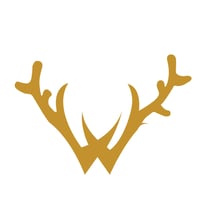 Wild Voyager