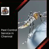 Pest Out Ser