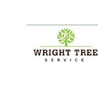 Wright Tree