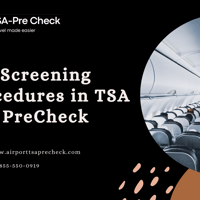 Airport TSA 