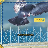 شركة الرحيق