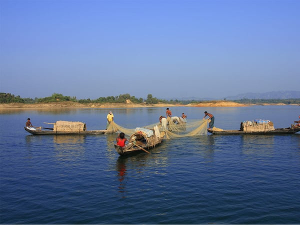 Tours & Trips Bangladesh