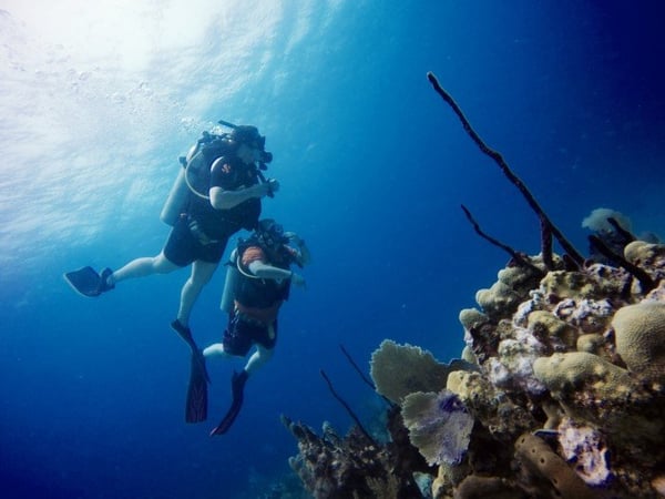 Diving Dominican Republic