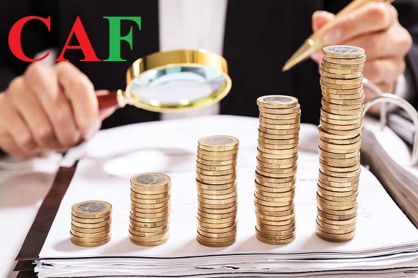 Công Ty TNHH Dịch Vụ Tư Vấn CAF